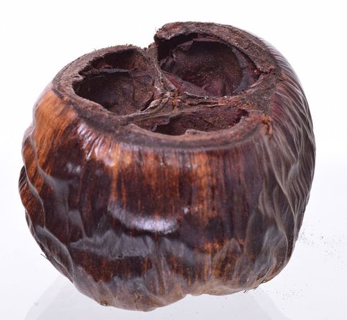 Talami lakierowane duże na Arena.pl