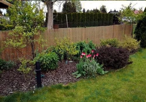 Mata bambusowa osłonowa na płot, ogrodzenie 1,5 x 5 m ( z listewek ) na Arena.pl