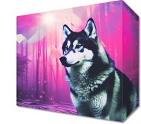 product-compare-59482898