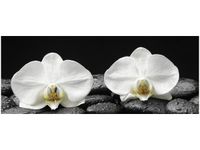 100X40CM BIAŁE STORCZYKI OBRAZ DREWNO