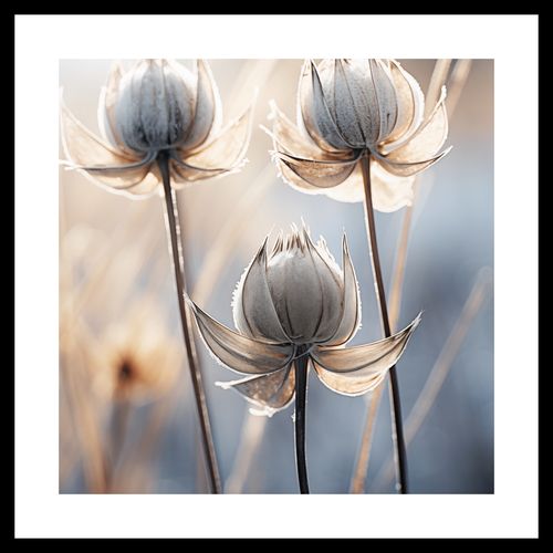 Plakat 30x30cm Poetycka Jesień na Arena.pl