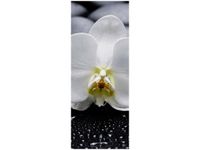 40X100CM BIAŁY STORCZYK OBRAZ PION