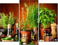 product-compare-58672709