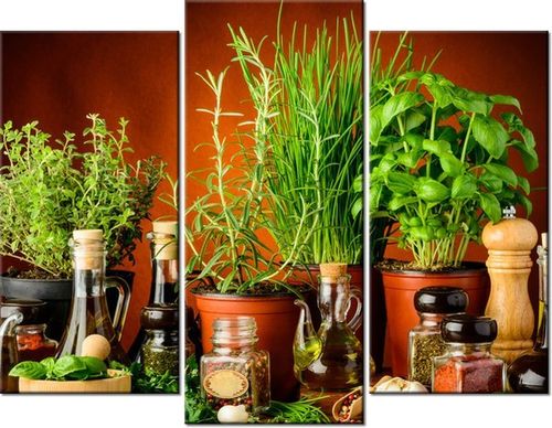60 90CM OBRAZ 3 ELEM PRZYPRAWY ZIOŁOWE ŚCIENNY DRUK PŁÓTNO na Arena.pl
