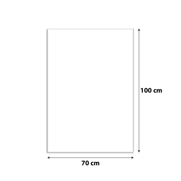 OBRAZ NA PŁÓTNIE 089 Lew 70x100cm zdjęcie 3
