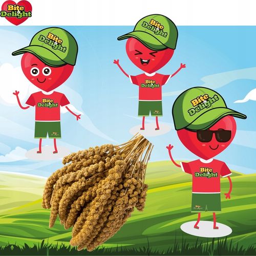 PROSO SENEGALSKIE BIAŁE 1KG CZYSTE DUŻE KŁOSY DLA PTAKÓW PAPUG ECO PACK na Arena.pl