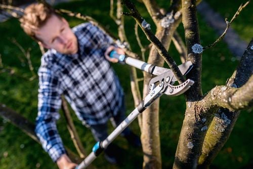 sekator kowadełkowy teleskopowy ideal - c 40-412 na Arena.pl