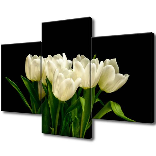 Obraz Płótno 90X60 Białe Tulipany - Mark Freeth na Arena.pl