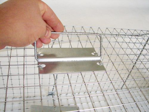 PROFESJONALNA PUŁAPKA ŻYWOŁAPKA KUNY SZCZURY ŁASKI NORKI ŁAPKA na Arena.pl