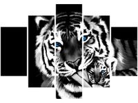 105CM 150CM OBRAZ 5 ELEM TYGRYSY DRUK