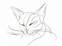 Plakat 40x30cm Linijny Kot