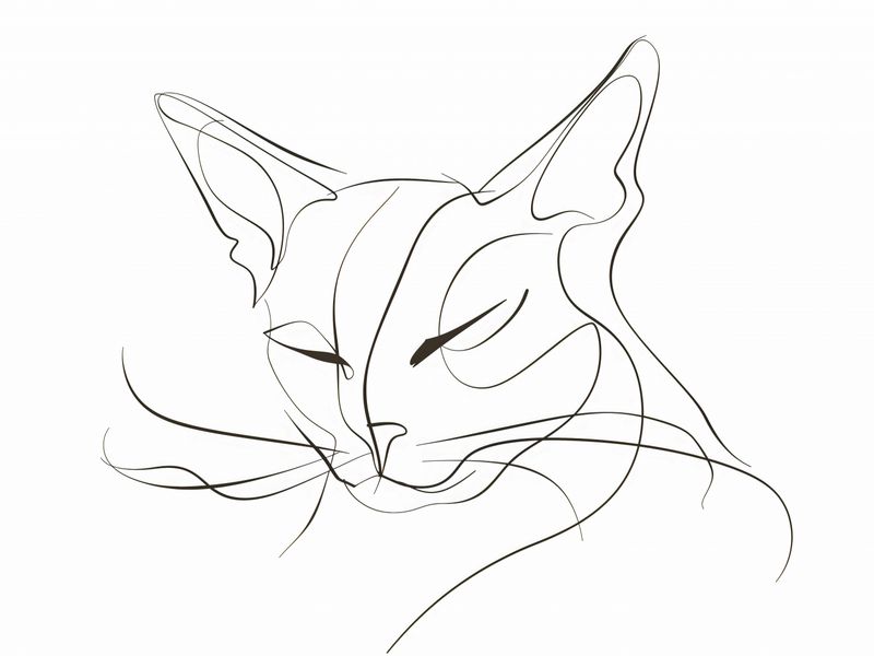 Plakat 40x30cm Linijny Kot zdjęcie 1