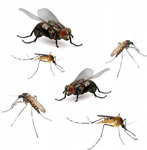 bros - muchospray 250ml na Arena.pl