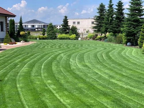 Nawóz do trawy do trawników na lato MAGGROW 20 kg na Arena.pl