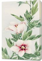 Obraz 60x90cm Hibiscus, Morikaga Japoński Vintage do Salonu