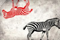 Fototapeta Mural Zwierzęta Zebra Konie cegła mur