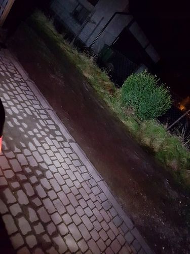 2x W16W 30 SMD ŻARÓWKA LED COFANIA WSTECZNE CAN na Arena.pl