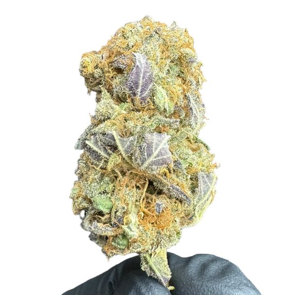 Jack Herer Susz Konopny CBD <20% 5g zdjęcie 4