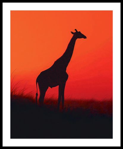 Plakat 40x50cm Żyrafa w Czerni na Arena.pl