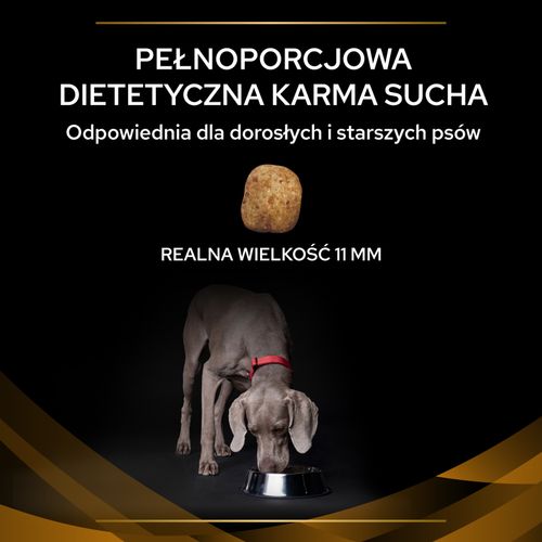 purina pro plan veterinary diets nf renal function 12kg na Arena.pl