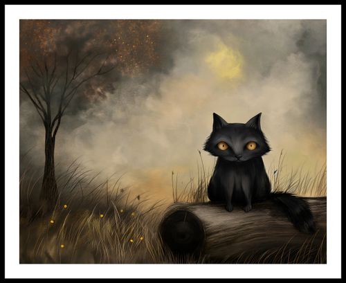 Plakat 76x60,5cm Czarny Kot na Arena.pl
