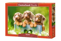 Puzzle 500 elementów. Cute Dachshunds