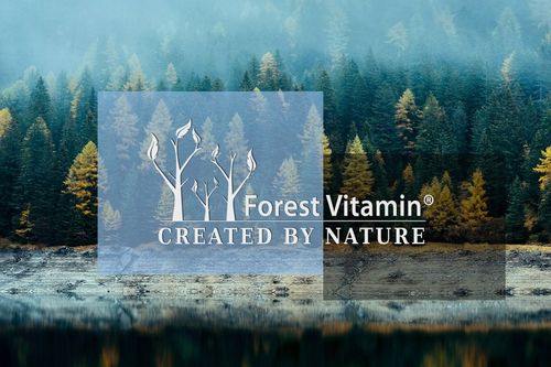 SPERMIDYNA 15g CZYSTA SPERMIDYNE TRICHLOROWODOREK SPERMIDYNY 600 PORCJI na Arena.pl