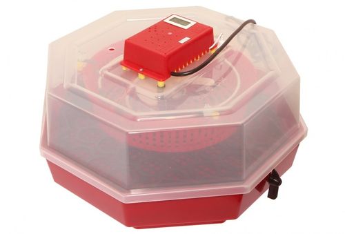 Inkubator wylęgarka na 60 jaj półautomat klujnik na Arena.pl