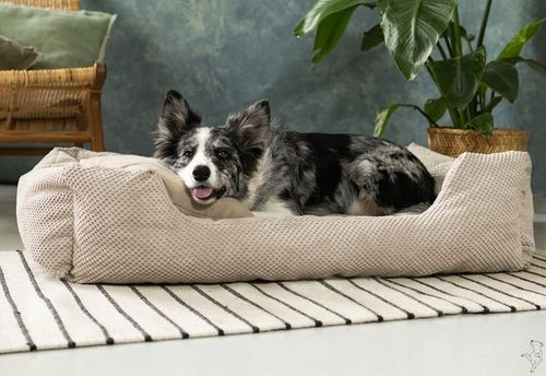 Legowisko kanapa Premium posłanie dla psa sofa kojec 100x70 cm na Arena.pl