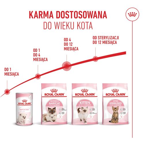 royal canin kitten 4kg na Arena.pl