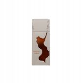 French Avenue Ravine Ginger 100 ml Ekstrakt perfum