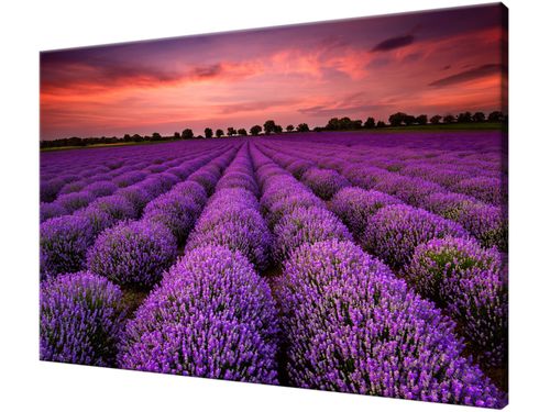Obraz drukowany na płótnie canvas 120x80 + GRATIS na Arena.pl
