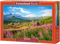 Puzzle malownicza Hala Gąsienicowa w Tatrach – Castorland 1000 elementów