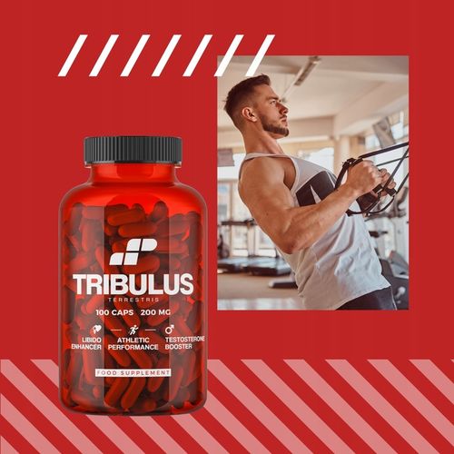 TRIBULUS TESTOSTERON TERRESTRIS BUZDYGANEK TESTO LIBIDO 100 MUSCLE POWER na Arena.pl
