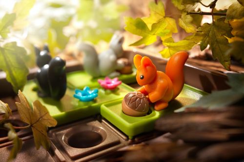 Smart Games Squirrels Go Nuts! na Arena.pl