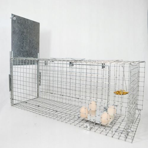 ŻYWOŁAPKA PUŁAPKA NA KUNY SZCZURY ŁASICE NORKI TCHÓRZE ŁASKI ŁAPKA na Arena.pl