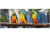 product-compare-58616740