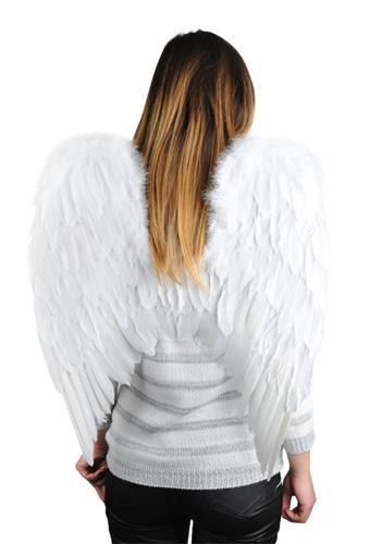 Skrzydła Anioła na Arena.pl