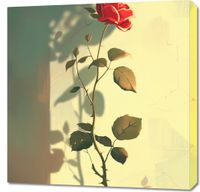 product-compare-59506284