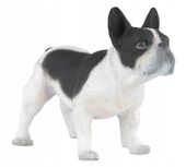 Figurka BULDOG FRANCUSKI Figurki Zwierzęta Zabawki ROZWIJAJĄCE Realistyczne