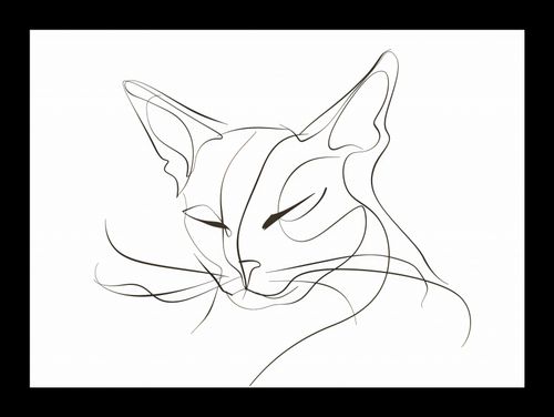 Plakat 18x13cm Linijny Kot na Arena.pl