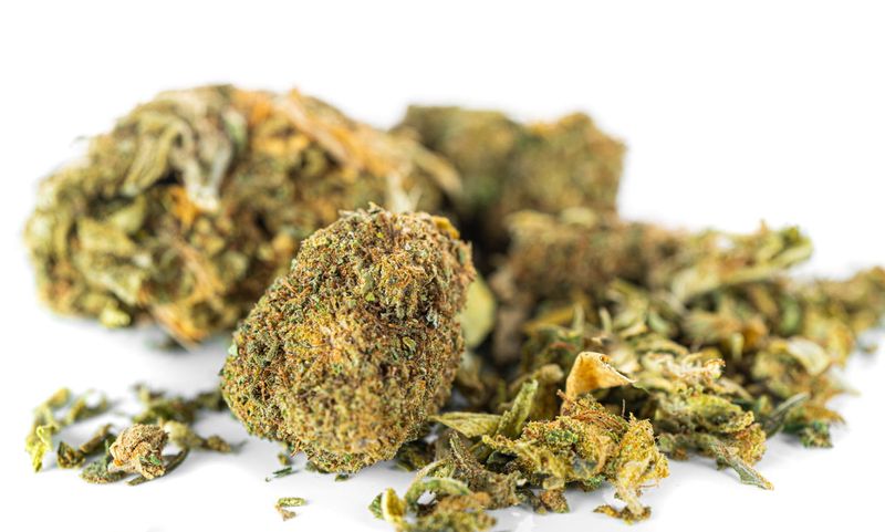 Susz konopny CBD MIX Odmian 10 g zdjęcie 8