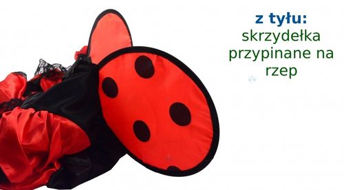 STRÓJ BIEDRONKA M 120-130 cm na Arena.pl