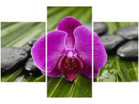 90X60CM OBRAZ PORANNA ROSA TRZY OBRAZY