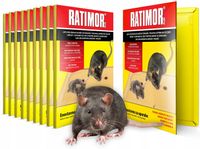 10x SILNA PUŁAPKA LEPOWA LEP NA SZCZURY I MYSZY RATIMOR PLUS AROMAT ORZECH