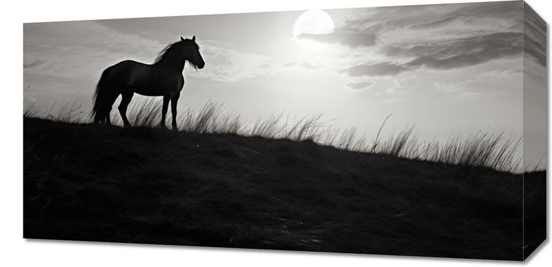 Obraz 60x30cm Księżycowa Straż zdjęcie 1