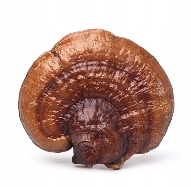 Encann Lion's Mane (Soplówka Jeżowata) + Reishi w płynie ekstrakt 2x 50 ml zdjęcie 3