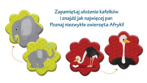 Kapitan Nauka. Memory Afryka. Wydawnictwo Edgard na Arena.pl