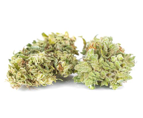 Susz konopny CBD | CBG | Silver 1 g na Arena.pl
