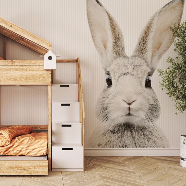 Tapeta Paski Królik Stefan W132 270 cm płótno zdjęcie 2